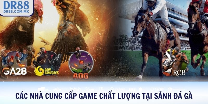 Các nhà cung cấp game chất lượng tại sảnh đá gà