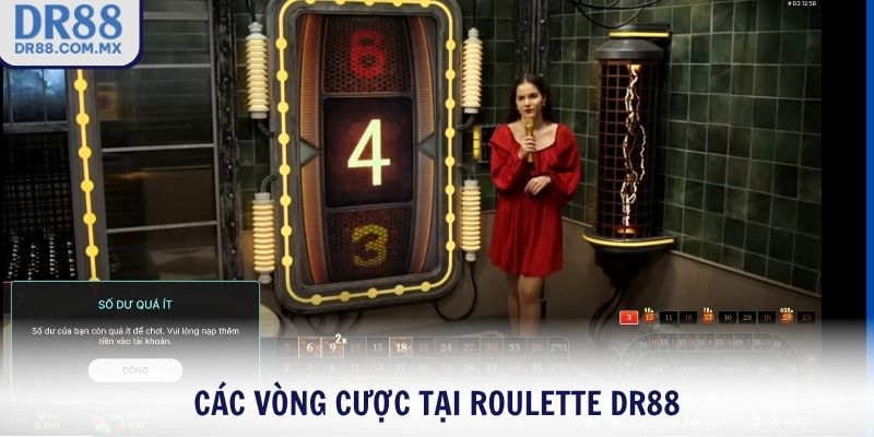 Các vòng cược tại Roulette DR88