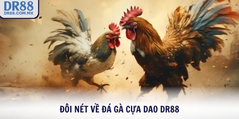 Đôi nét về đá gà cựa dao DR88