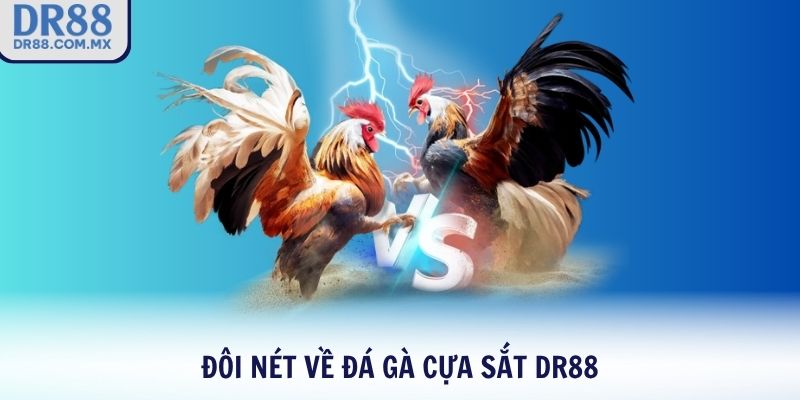 Đôi nét về đá gà cựa sắt DR88