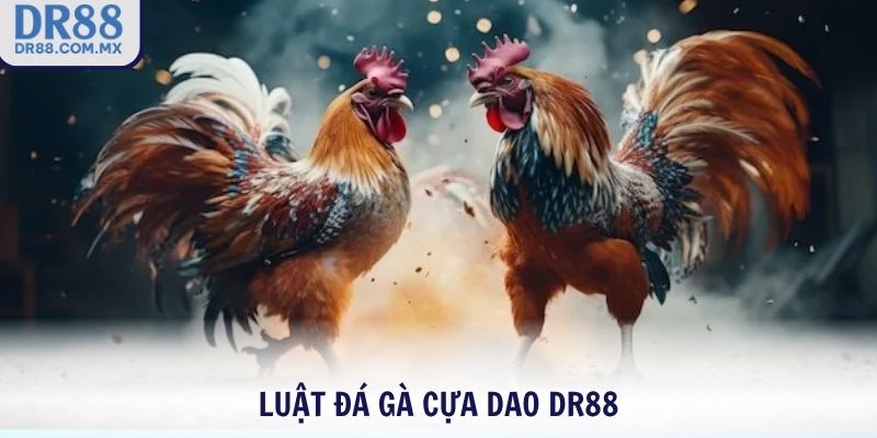 Luật đá gà cựa dao DR88