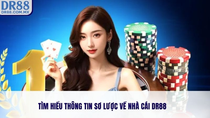 Tìm hiểu thông tin sơ lược về nhà cái DR88