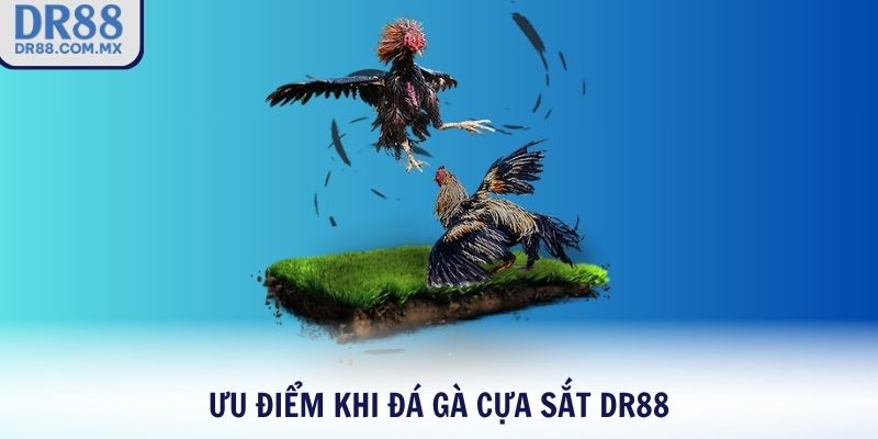 Ưu điểm khi đá gà cựa sắt DR88