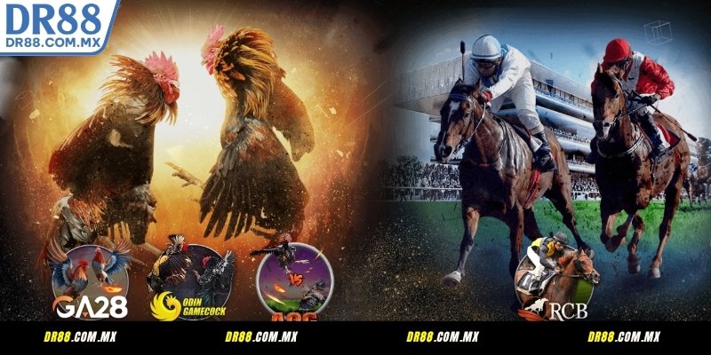 Đá gà/Đua ngựa – Đỉnh cao tốc độ và kịch tính